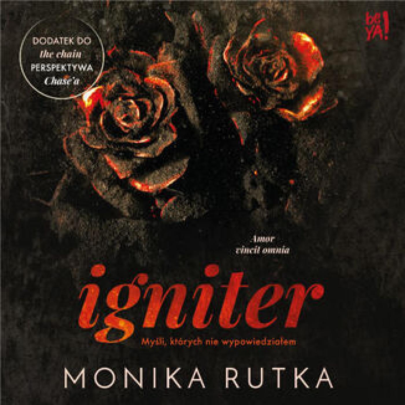 Igniter. Myśli, których nie wypowiedziałem