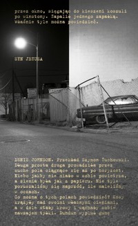 Syn Jezusa - Johnson Denis - ebook + książka