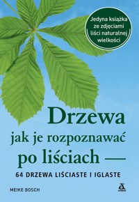 Drzewa – jak je rozpoznawać po liściach - Bosch Meike - książka