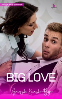 Big Love - Agnieszka Kowalska-Bojar - ebook