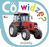 Co widzę Pojazdy - Kozera Piotr - książka
