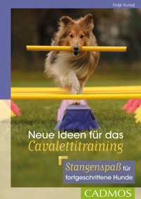 Neue Ideen für das Cavalettitraining - Steffi Rumpf - ebook