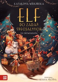 Elf do zadań specjalnych - Wierzbicka Katarzyna - książka