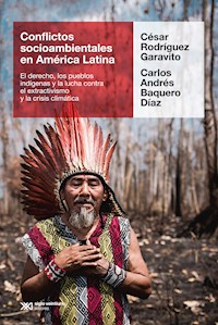 Conflictos socioambientales en América Latina - César Rodríguez Garavito - ebook