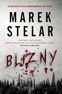 Blizny - Marek Stelar - ebook + audiobook + książka