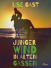 Junger Wind in alten Gassen - lise  gast  - ebook