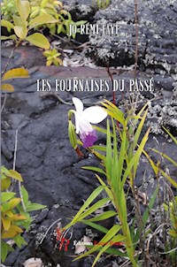 Les fournaises du passé - Jo-Rémi Faye - ebook