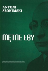 Mętne łby - Antoni Słonimski - książka