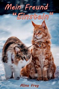 Mein Freund "Einstein" - Alina Frey - ebook