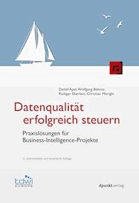 Datenqualität erfolgreich steuern - Detlef Apel - ebook