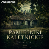 Pamiętniki Kaletnickie - Karolina Bast Kolasa - audiobook