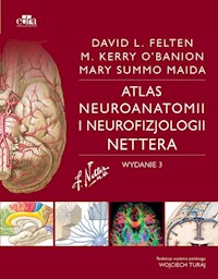 Atlas neuroanatomii i neurofizjologii Nettera - M. Maida, M. O'Banion, D.L. Felten - książka
