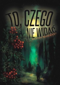 To, czego nie widać - Bikowski Bartek - ebook + książka