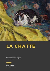 La chatte - Sidonie-Gabrielle Colette - ebook