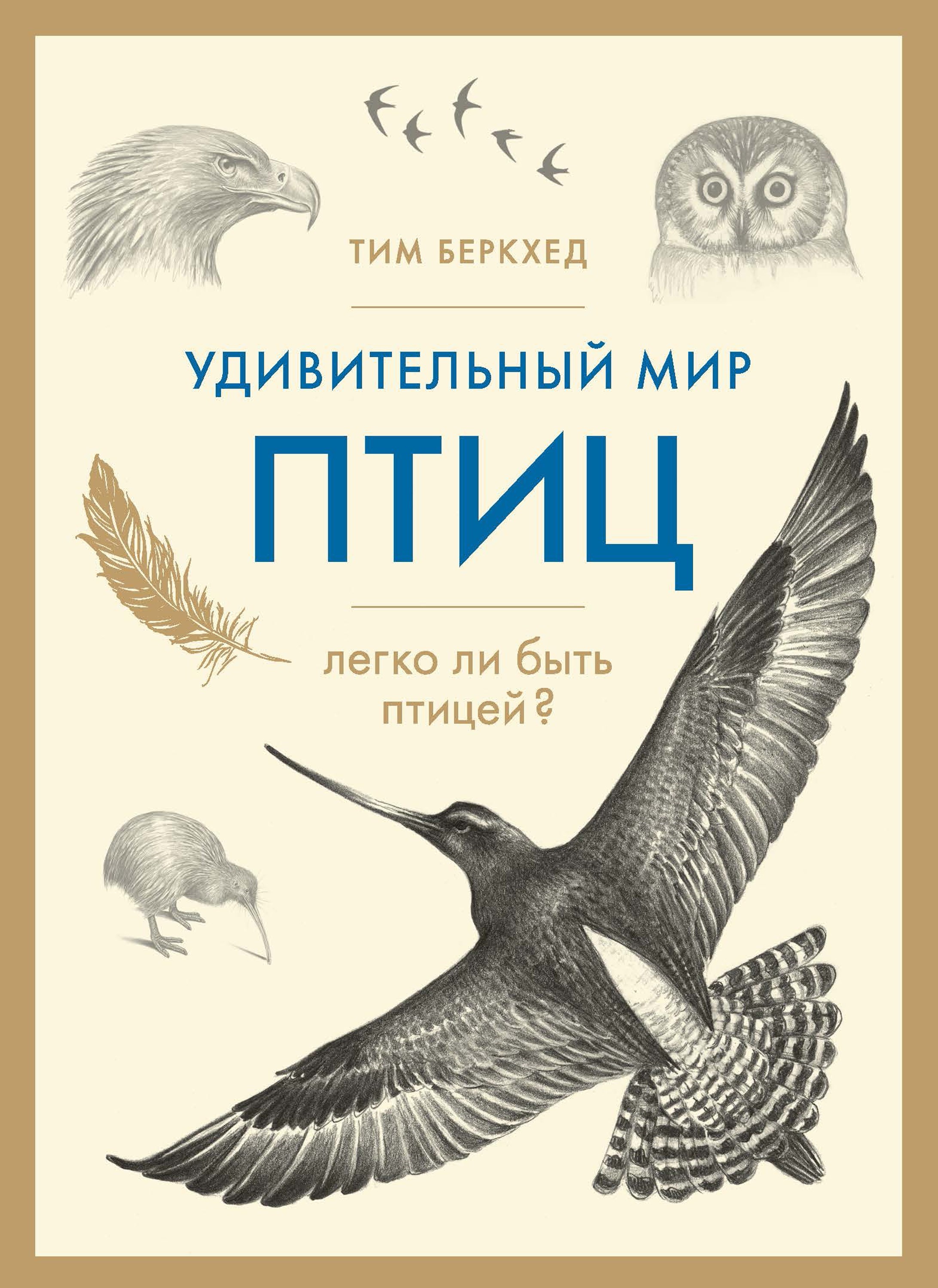 Удивительный мир птиц: Легко ли быть птицей?
