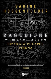 Zagubione w matematyce - Hosenfelder Sabine - książka