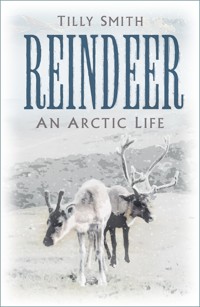 Reindeer - Tilly Smith - ebook