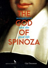The God of Spinoza - Gijs Dreesman - ebook