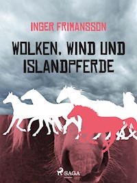 Wolken, Wind und Islandpferde - Inger Frimansson - ebook