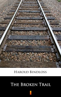 The Broken Trail - Harold Bindloss - ebook
