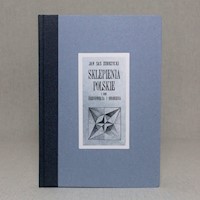 Sklepienia polskie - Zubrzycki Jan - książka