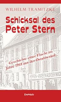 Schicksal des Peter Stern - Wilhelm Tramitzke - ebook