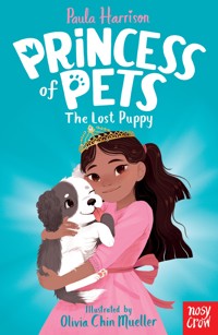 Princess of Pets: The Lost Puppy - Paula Harrison - ebook