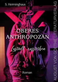 Oberes Anthropozän - Stephan Herminghaus - ebook