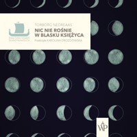 Nic nie rośnie w blasku księżyca - Torborg Nedreaas - ebook + audiobook + książka