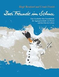 Zwei Freunde im Schnee - Birgit Bernhard - ebook