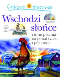 Ciekawe dlaczego wschodzi słońce - Walpole Brenda - książka