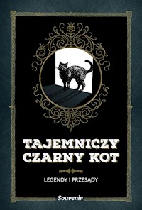 Tajemniczy czarny kot - Semenuik Nathalie - książka