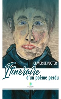 Itinéraire d’un poème perdu - Olivier de Pooter - ebook