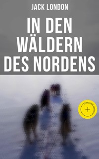 In den Wäldern des Nordens - Jack London - ebook