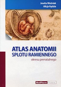Atlas anatomii splotu ramiennego okresu prenatalnego - Woźniak Jowita, Kędzia Alicja - książka