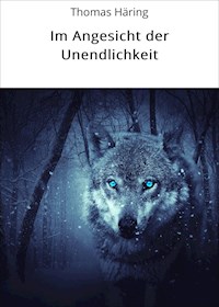 Im Angesicht der Unendlichkeit - Thomas Häring - ebook