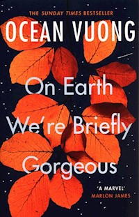 On Earth We're Briefly Gorgeus - Vuong Ocean - książka