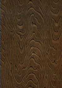 Wielkopolska a Prusy w dobie powstania 1918/19 - Zygmunt Wieliczka - ebook