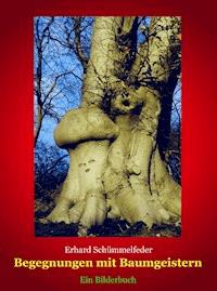 Begegnungen mit Baumgeistern - Erhard Schümmelfeder - ebook