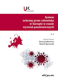 System ochrony praw człowieka w Europie w czasie wyzwań pandemicznych. Tom 2 -  - książka