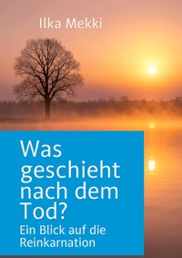 Was geschieht nach dem Tod? - Ilka Mekki - ebook