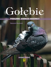 Gołębie Poradnik dobrego hodowcy - Mackrott Heinrich - książka