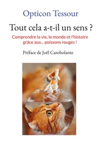 Tout cela a-t-il un sens ? - Opticon Tessour - ebook