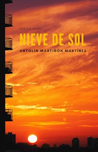 Nieve de sol - Antolin Martiñón Martínez - ebook