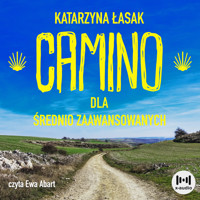 Camino dla średnio zaawansowanych. Wszystko co chcesz wiedzieć o drodze św. Jakuba, ale nie masz kogo zapytać - Łasak Katarzyna - audiobook