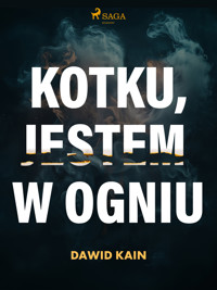 Kotku jestem w ogniu - Dawid Kain - ebook + audiobook