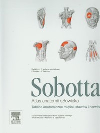 Atlas anatomii człowieka Sobotta - - książka