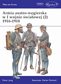 Armia austro-węgierska w I wojnie światowej (2) 1916-1918 - Jung Peter - książka