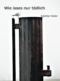 Wie isses nur tödlich - Günther Seiler - ebook