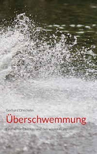Überschwemmung - Gerhard Drechsler - ebook